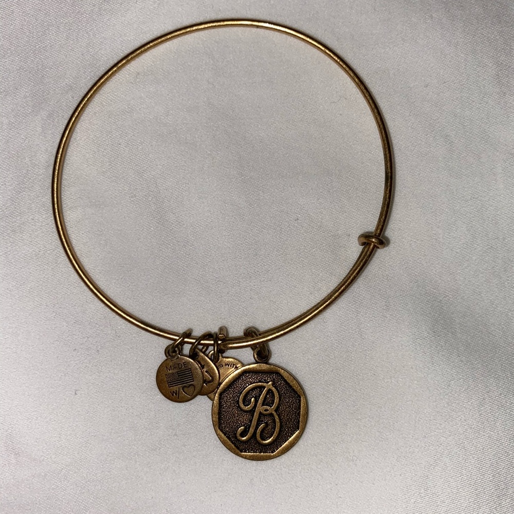 Alex and Ani B charms